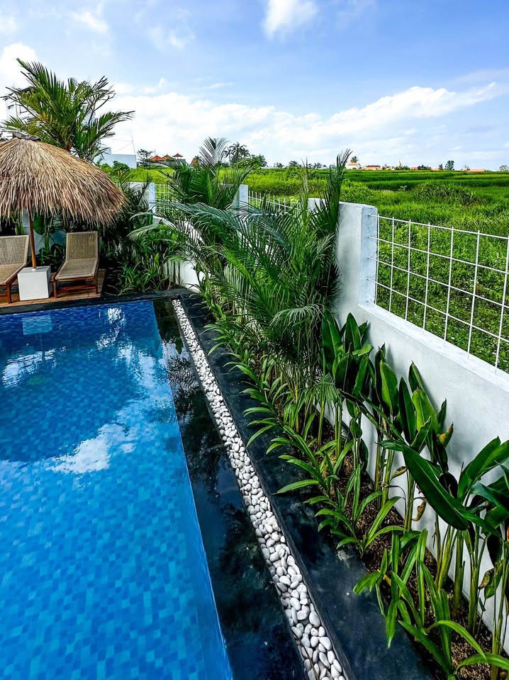 3 BR Villa in Seseh, Rice field Views image 1