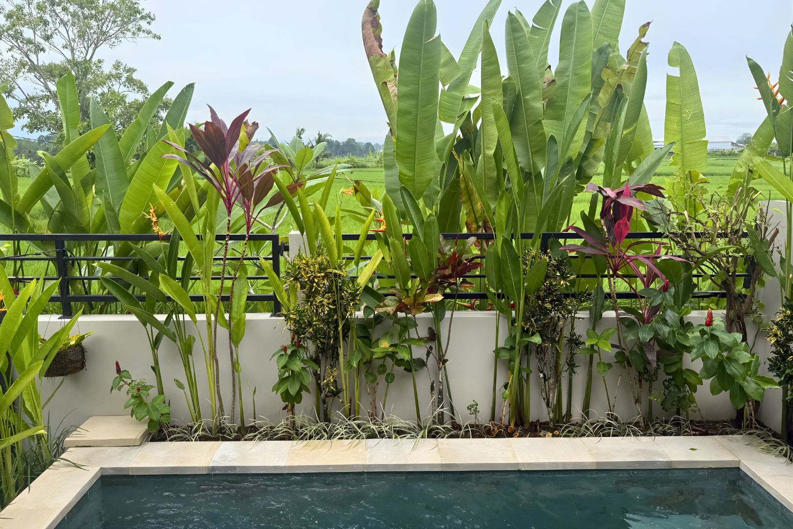 1BR Rice Field Villa with Private Pool image 1
