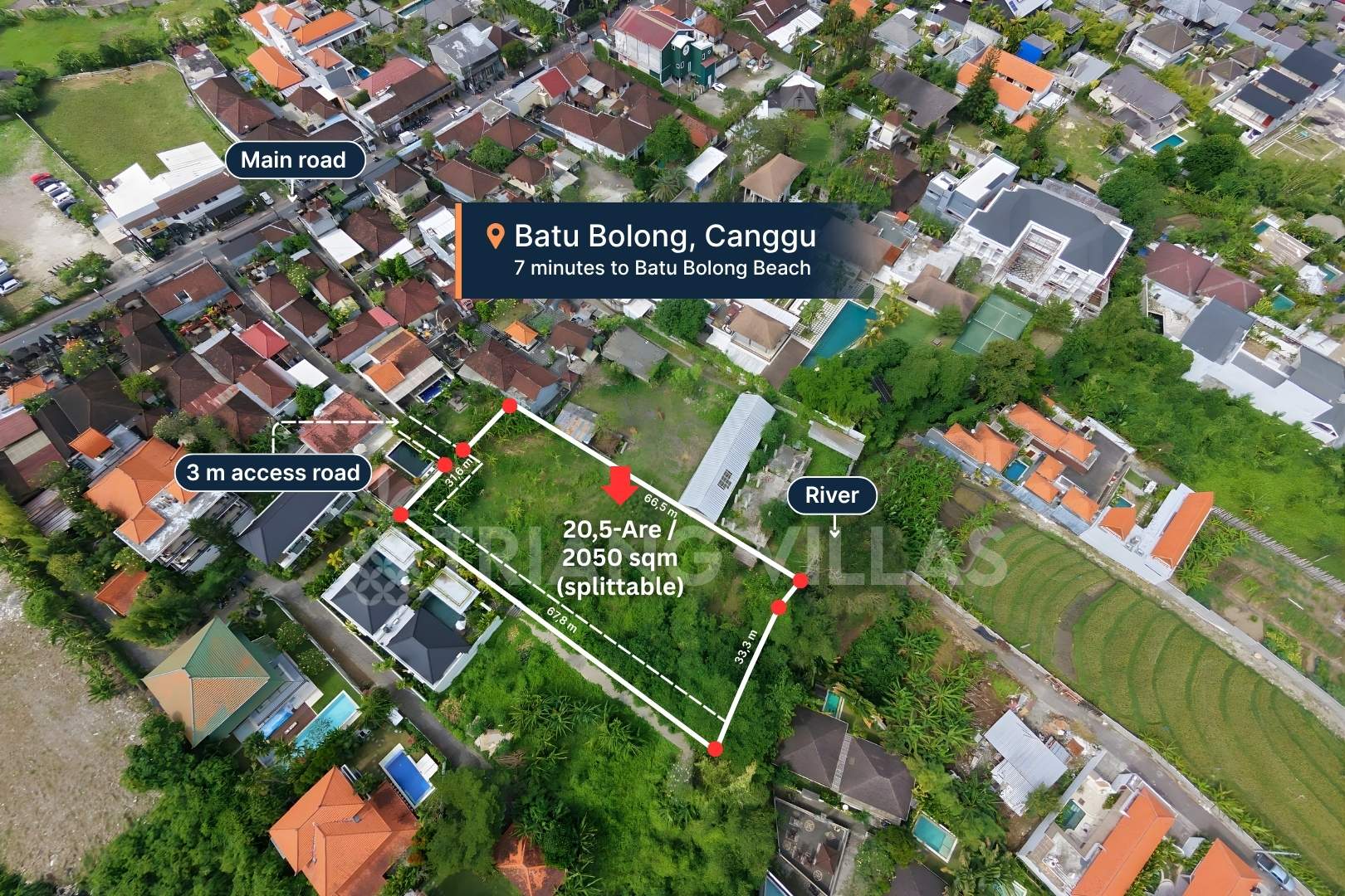 Canggu - 20,5-Are Splittable Land For Leasehold